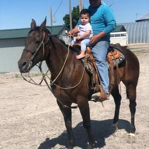 Meet your Posher, Benjamin